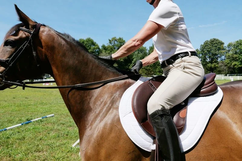 Bates Victrix Black CAIR Jump Saddle