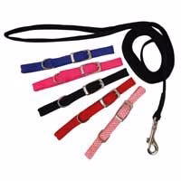 Rainbow Nylon Puppy Lead