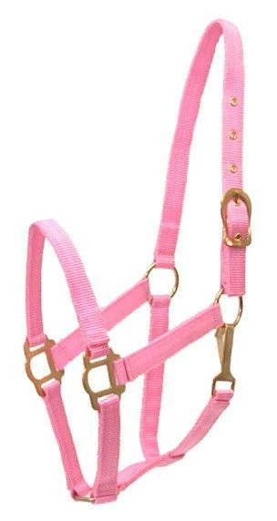 Gatsby Classic Nylon Halter/Snap