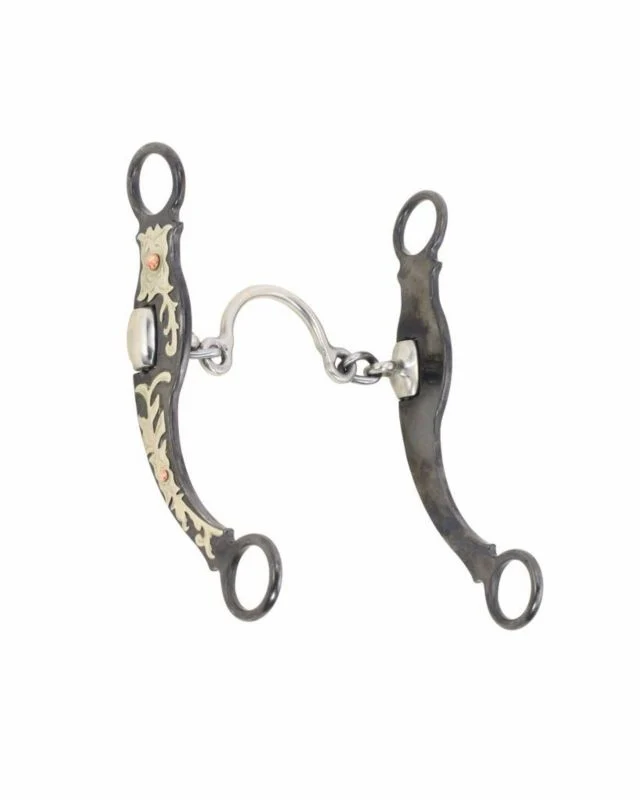 Cowboy Collection Ported Chain Bit