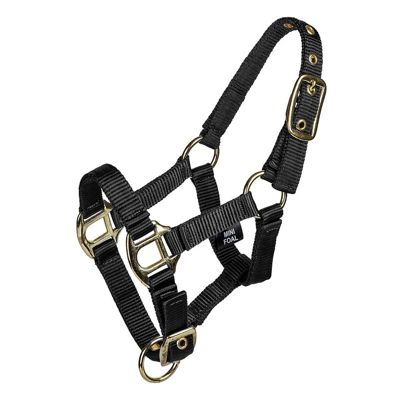 15204-gatsby-2-ply-nylon-mini-halter-2.webp Gatsby 2-ply Nylon Mini Halter