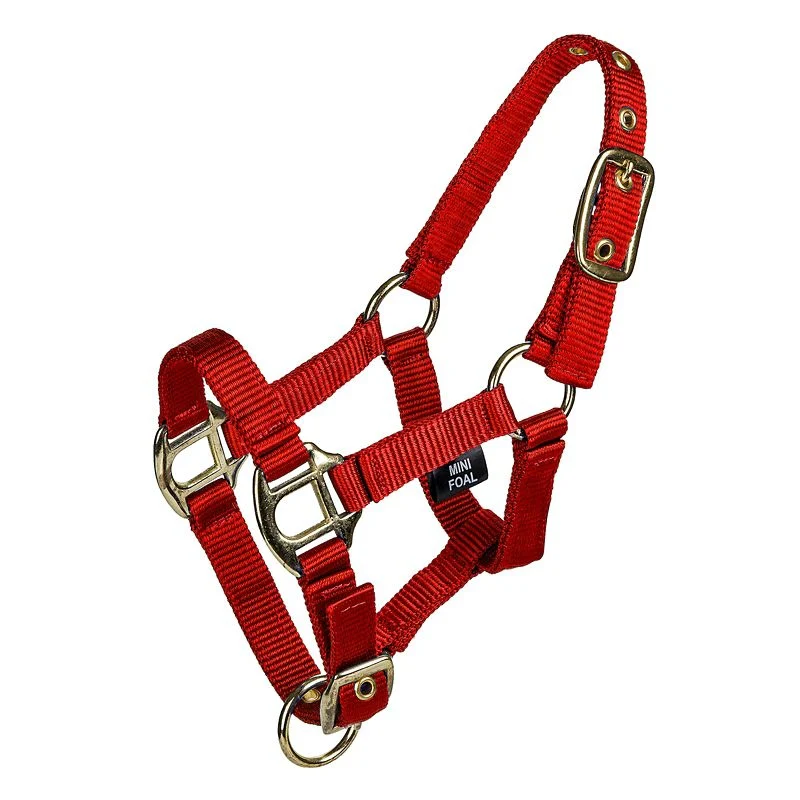 15204-gatsby-2-ply-nylon-mini-halter-3.webp Gatsby 2-ply Nylon Mini Halter
