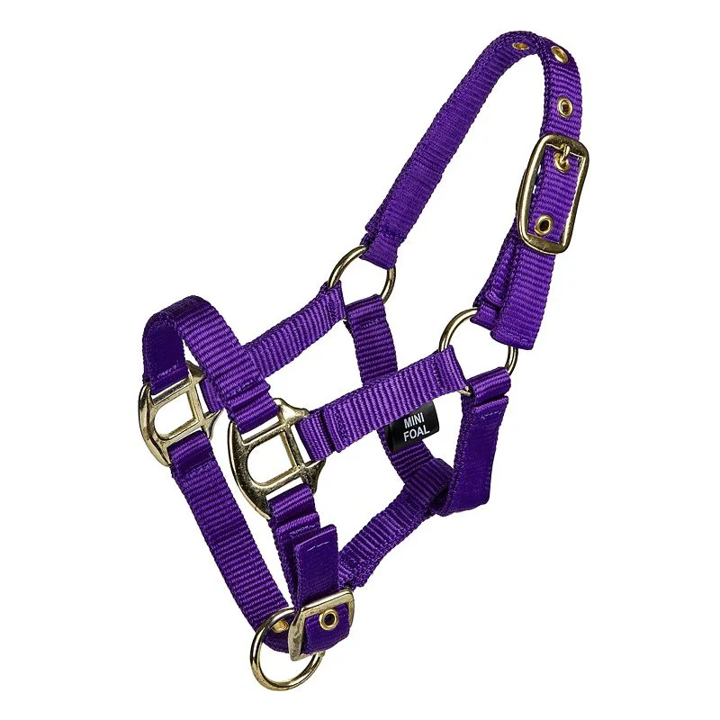 15204-gatsby-2-ply-nylon-mini-halter-4.webp Gatsby 2-ply Nylon Mini Halter