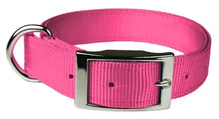 Double Layer Dog Collar