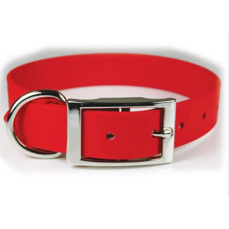 15664-zeta-poly-vinyl-coated-dog-collar-1.webp Zeta Poly Vinyl Coated Dog Collar