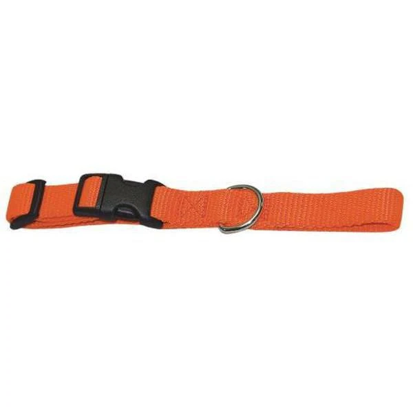 15669-adjustafit-dog-collar-orange-1.webp Adjustafit Dog Collar Orange
