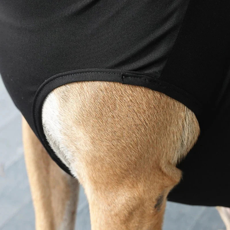 BeneFab Canine Comfort & Care Shirt