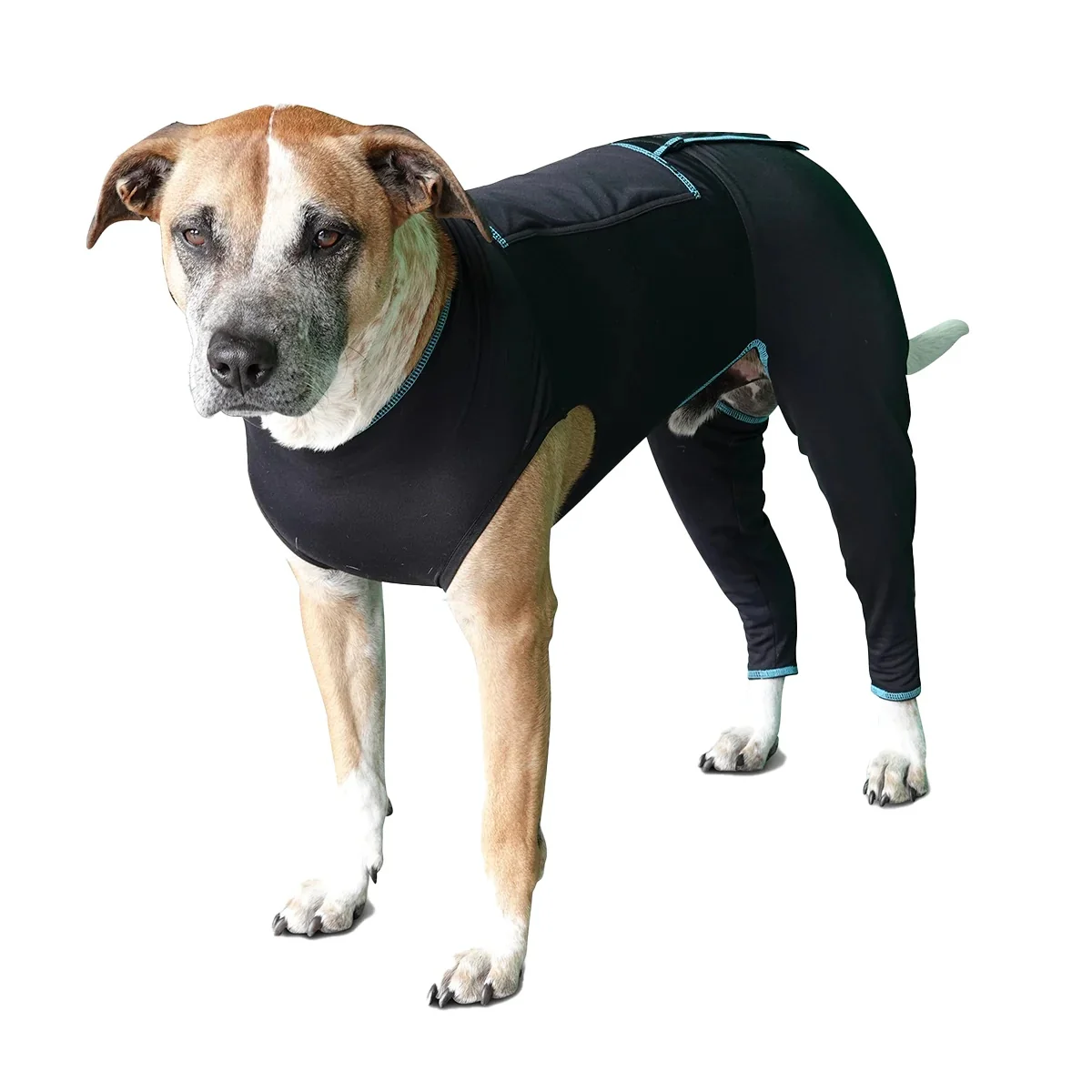 BeneFab Canine Comfort Suit