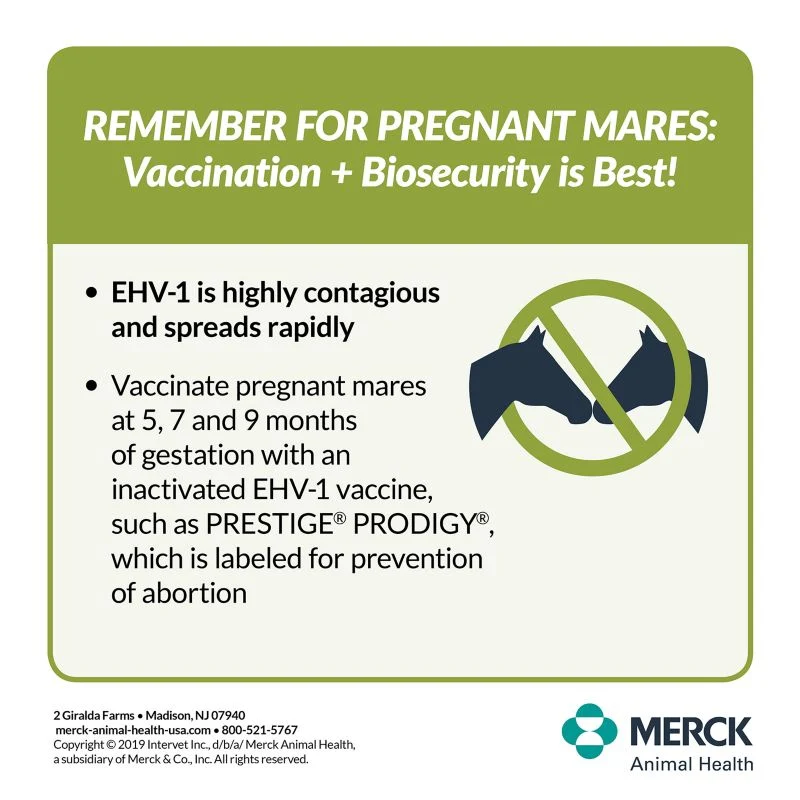 15905-merck-prestige-prodigy-vaccine-single-dose-2.webp Merck Prestige Prodigy Vaccine Single Dose