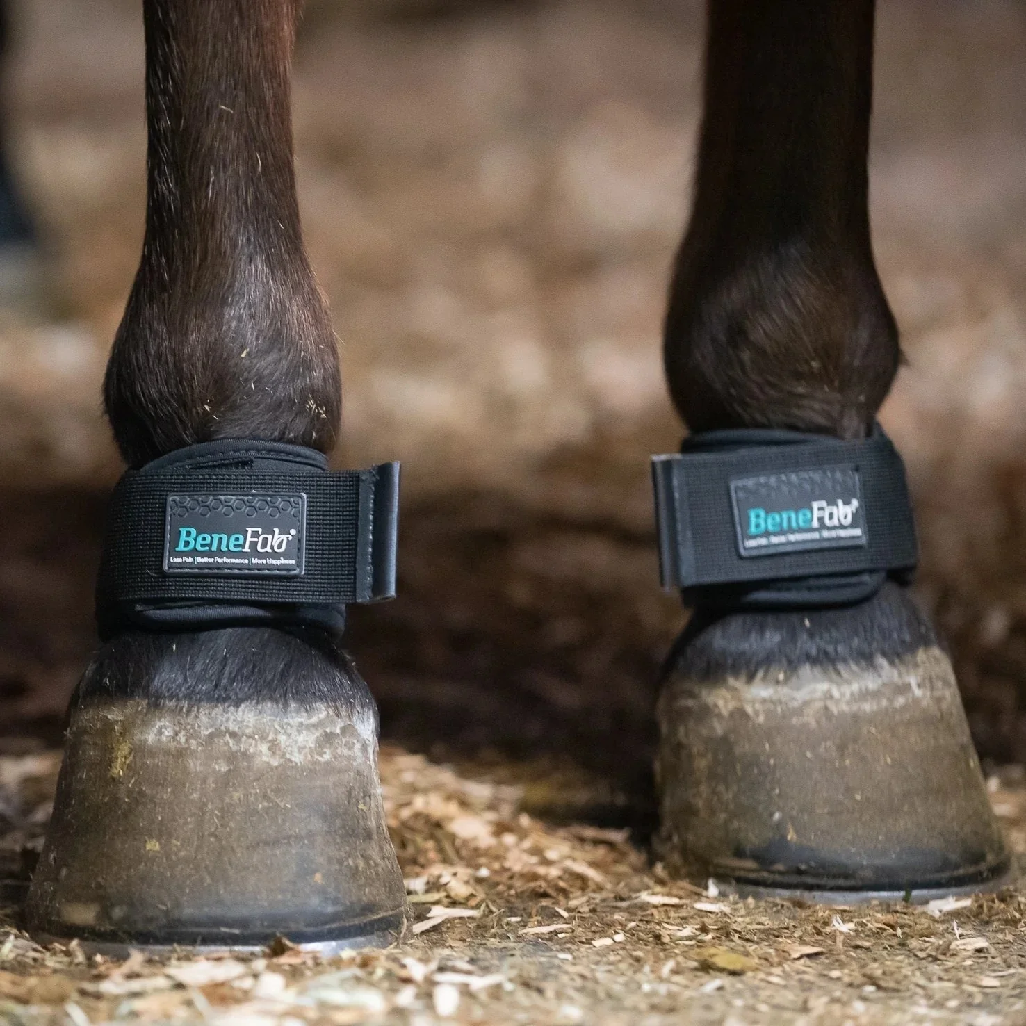 1603-benefab-therapeutic-pastern-wraps-3.webp BeneFab Therapeutic Pastern Wraps
