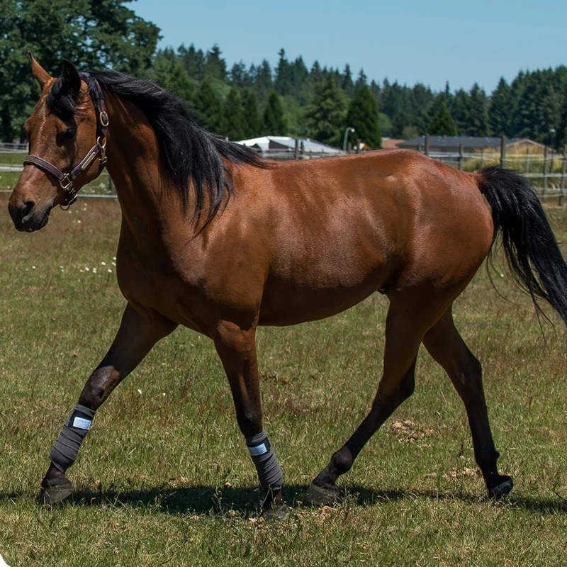 BeneFab Therapeutic Polo Wraps