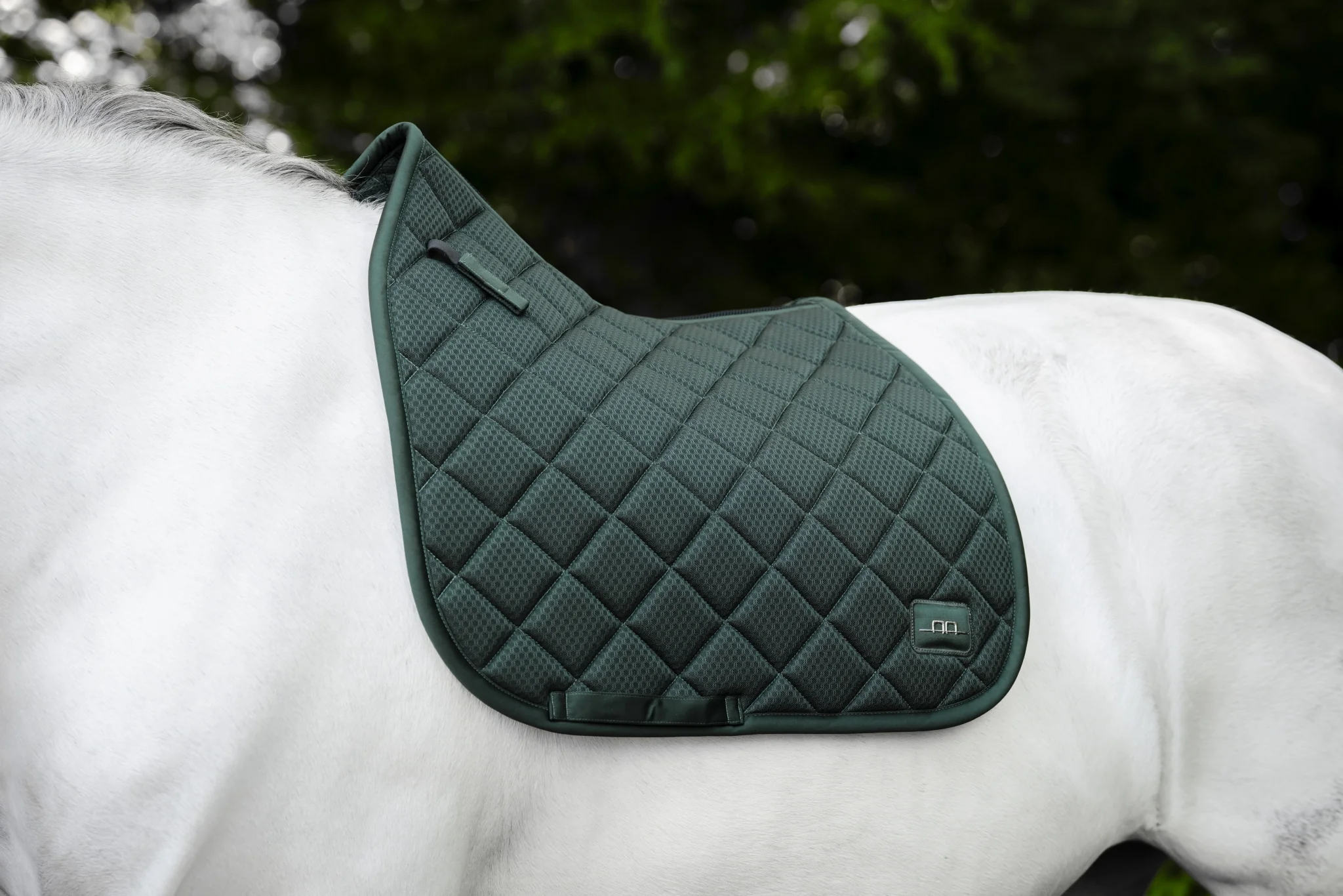 161-alessandro-albanese-performance-dressage-pad-2.webp Alessandro Albanese Performance Dressage Pad