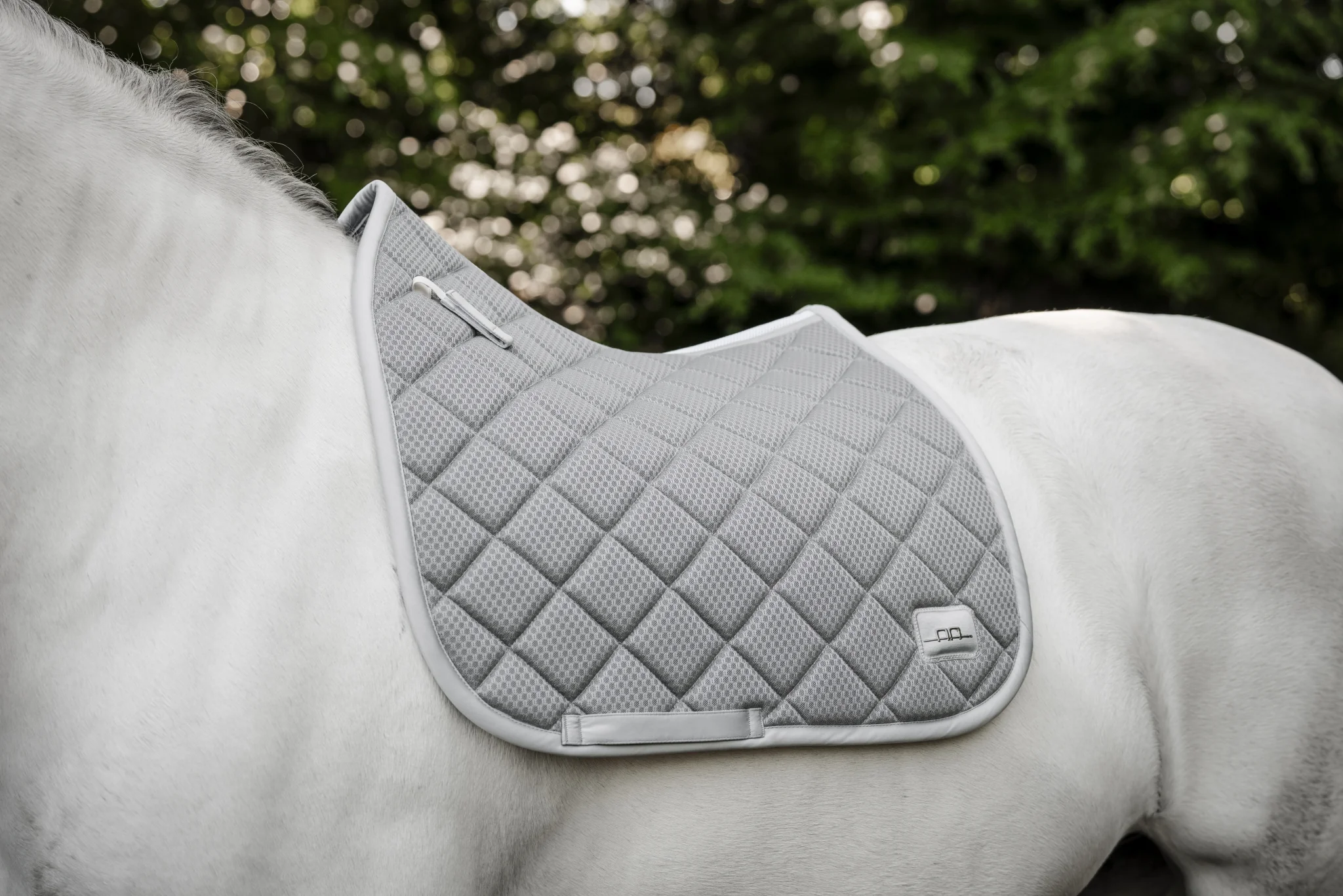 161-alessandro-albanese-performance-dressage-pad-6.webp Alessandro Albanese Performance Dressage Pad
