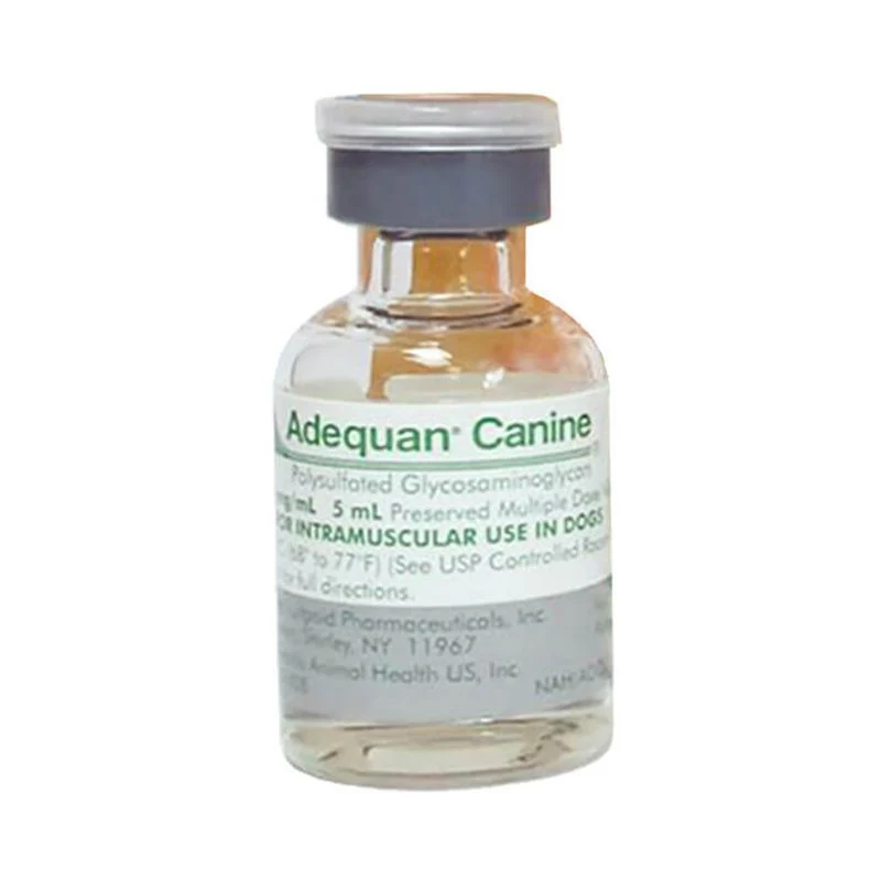 16570-canine-adequan-injection-5ml-vial-1.webp Canine Adequan Injection 5ml Vial