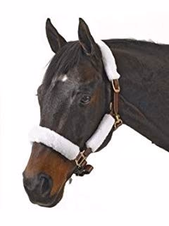 Basic Fleece 4-Piece Halter Tube Set