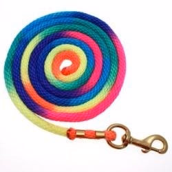 16909-basic-rainbow-poly-lead-rope-with-bolt-snap-1.jpg Basic Rainbow Poly Lead Rope with Bolt Snap