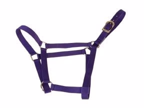 Basic 2-Ply Halter