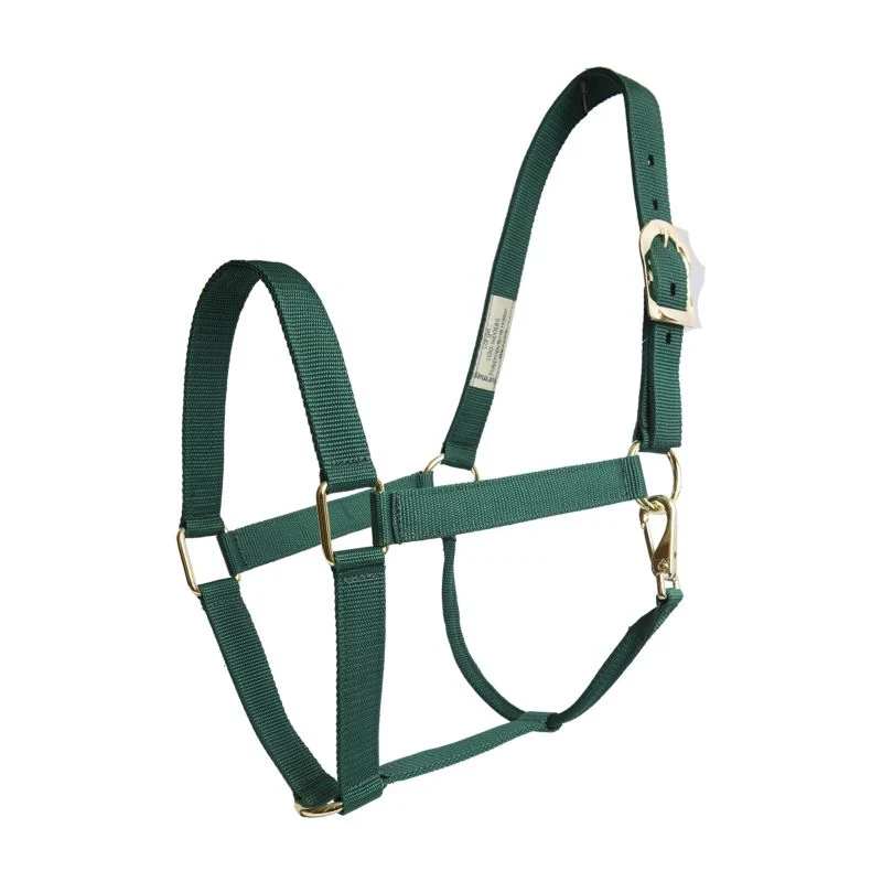 17006-basic-2-ply-halter-with-snap-2.webp Basic 2-Ply Halter with Snap