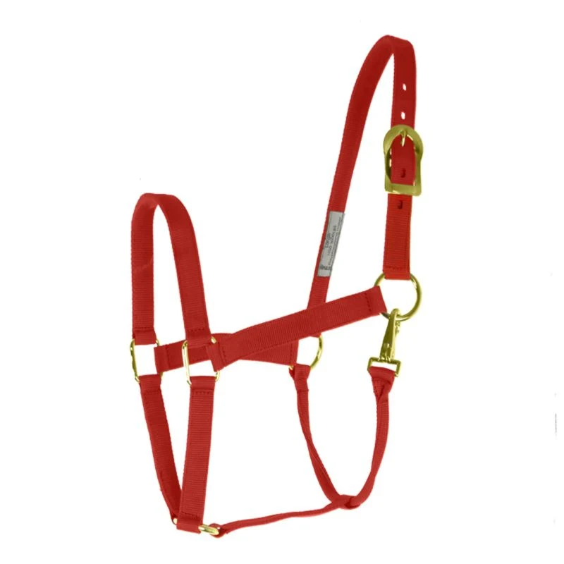 17006-basic-2-ply-halter-with-snap-4.webp Basic 2-Ply Halter with Snap
