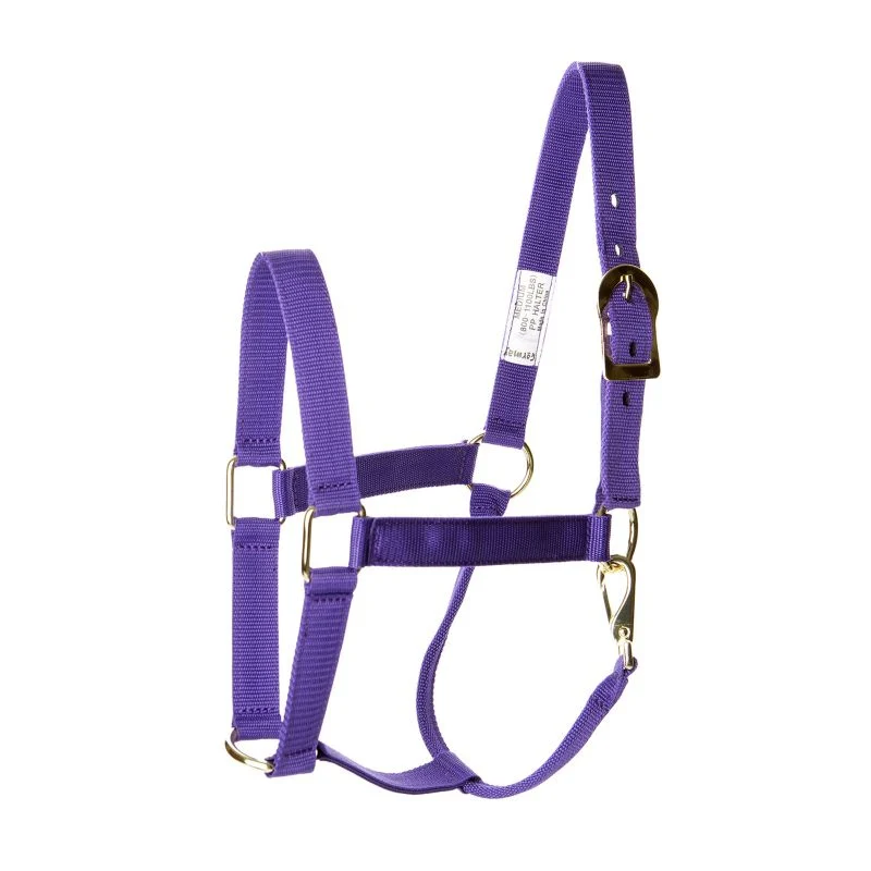 17006-basic-2-ply-halter-with-snap-5.webp Basic 2-Ply Halter with Snap