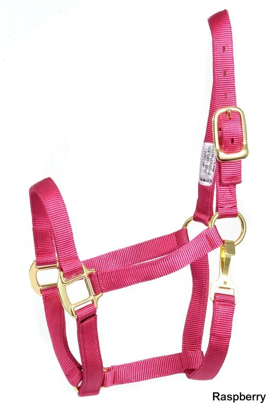 17040-deluxe-3-ply-nylon-halter-with-snap-5.webp Deluxe 3-Ply Nylon Halter with Snap