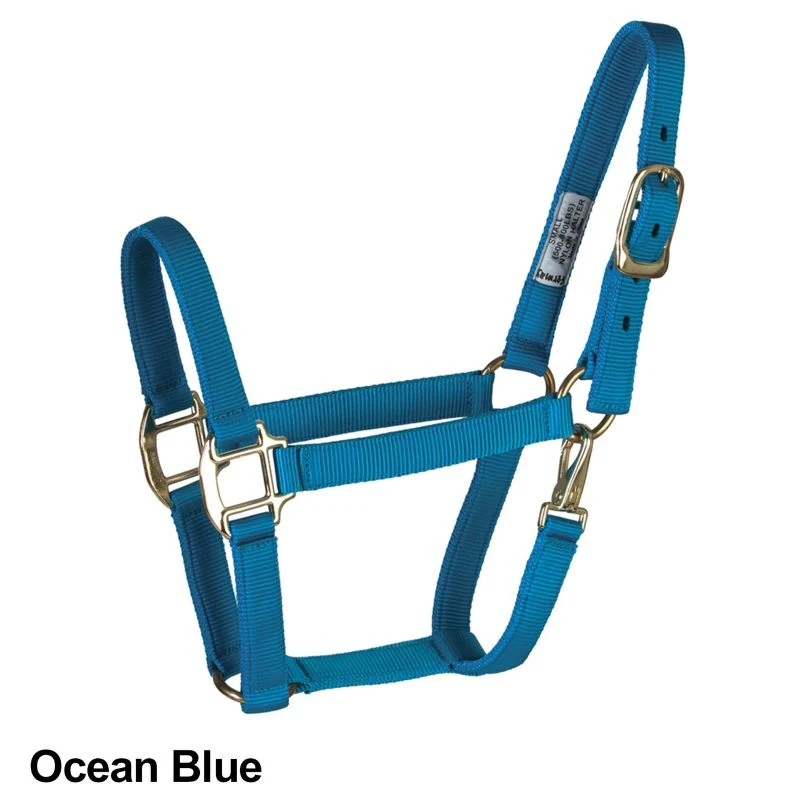 17040-deluxe-3-ply-nylon-halter-with-snap-6.webp Deluxe 3-Ply Nylon Halter with Snap