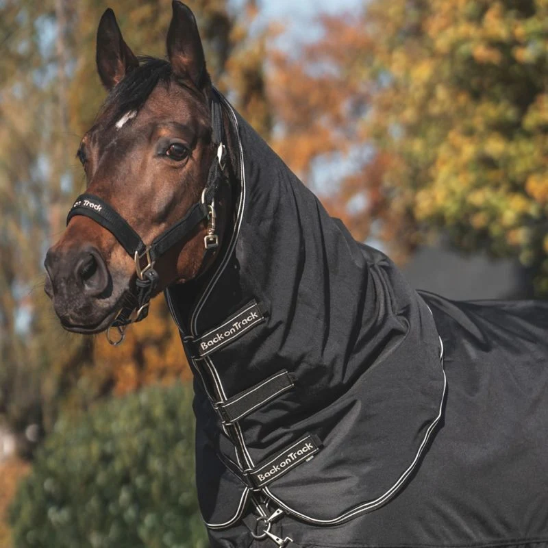 1760-bot-obsidian-turnout-with-neck-cover-150g-4.webp BOT Obsidian Turnout with Neck Cover 150g