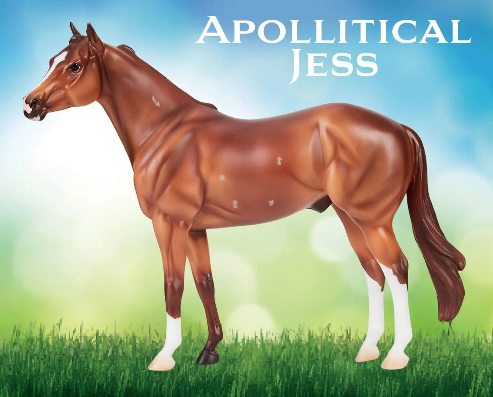 Breyer Apollitical Jess