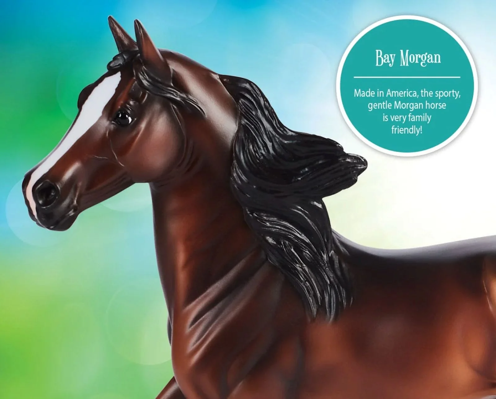 1769-breyer-bay-morgan-4.webp Breyer Bay Morgan