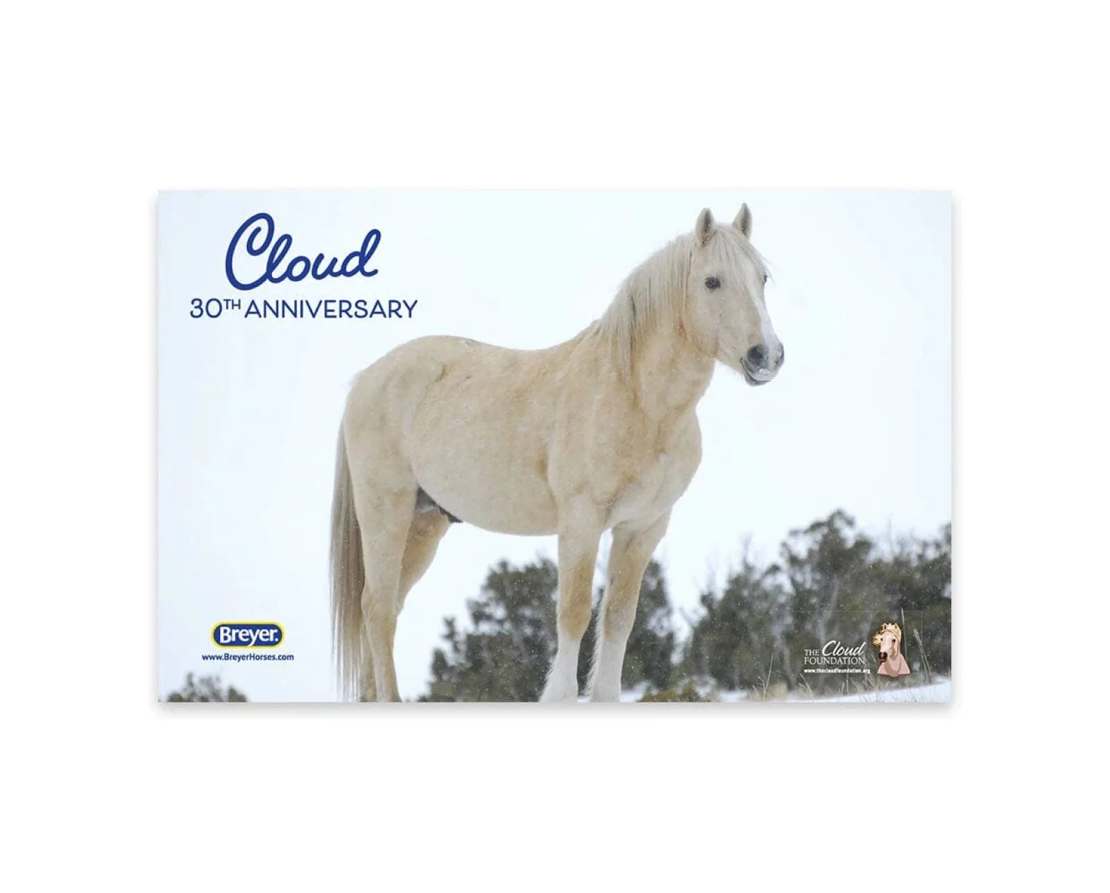 Breyer Cloud: 30th Anniversary Edition - Wild Stallion of the Rockies