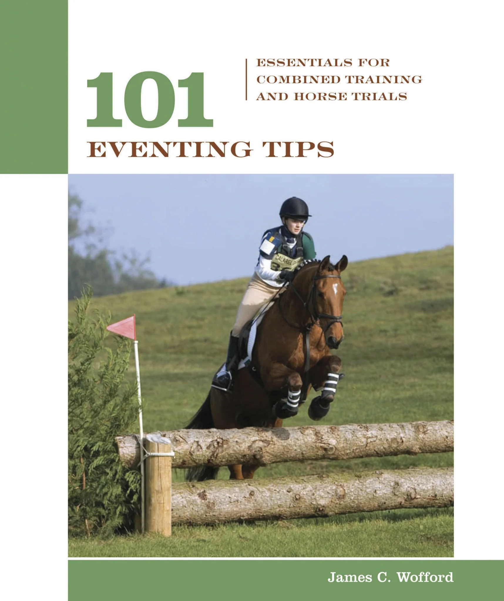 17913-101-eventing-tips-1.webp 101 Eventing Tips
