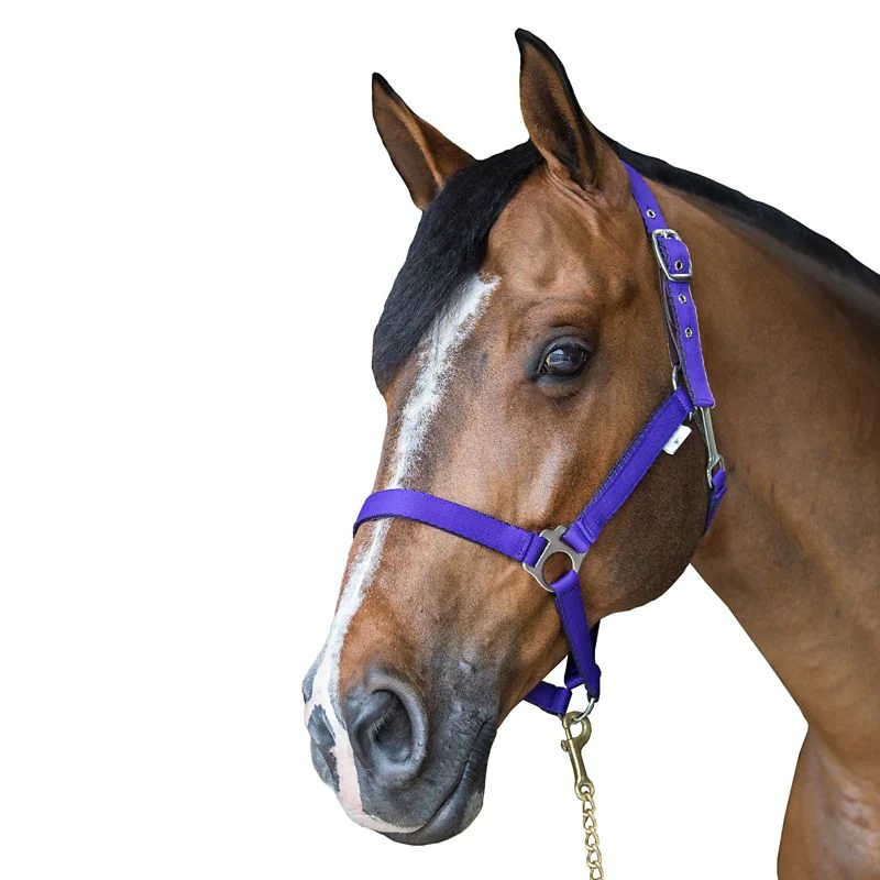 18-gatsby-nylon-safety-breakaway-halter-11.webp Gatsby Nylon Safety Breakaway Halter