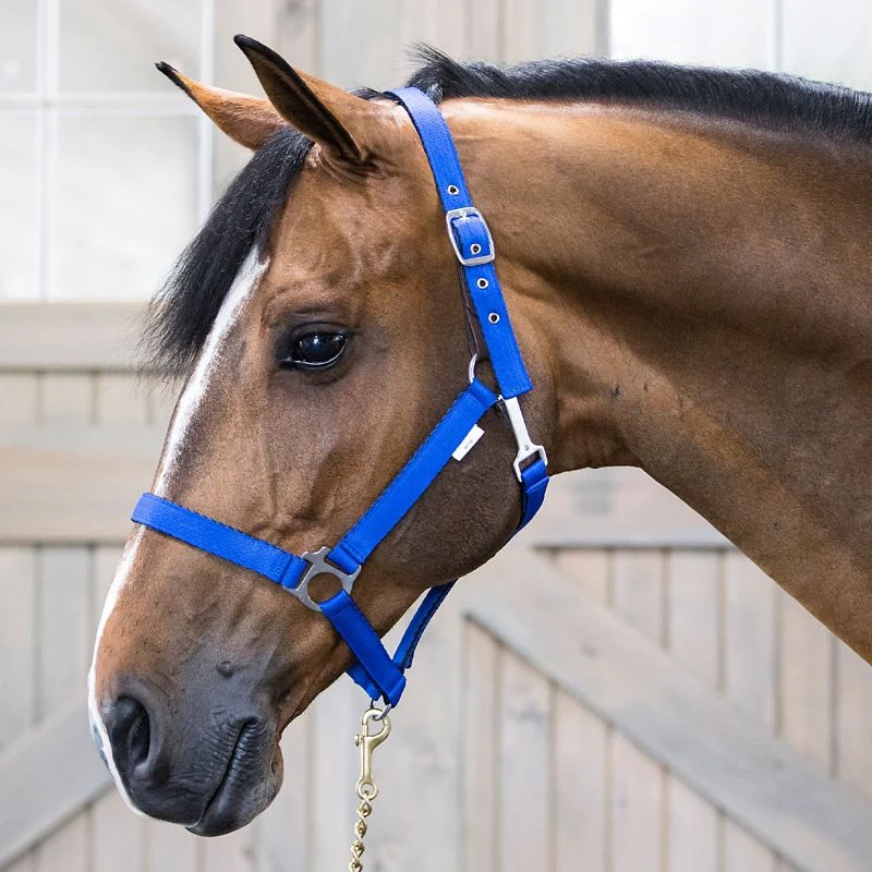 18-gatsby-nylon-safety-breakaway-halter-13.webp Gatsby Nylon Safety Breakaway Halter