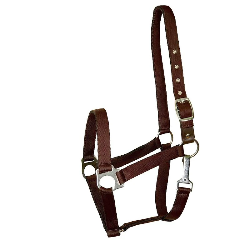 18-gatsby-nylon-safety-breakaway-halter-4.webp Gatsby Nylon Safety Breakaway Halter