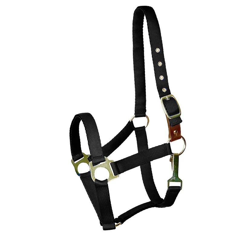 18-gatsby-nylon-safety-breakaway-halter-5.webp Gatsby Nylon Safety Breakaway Halter