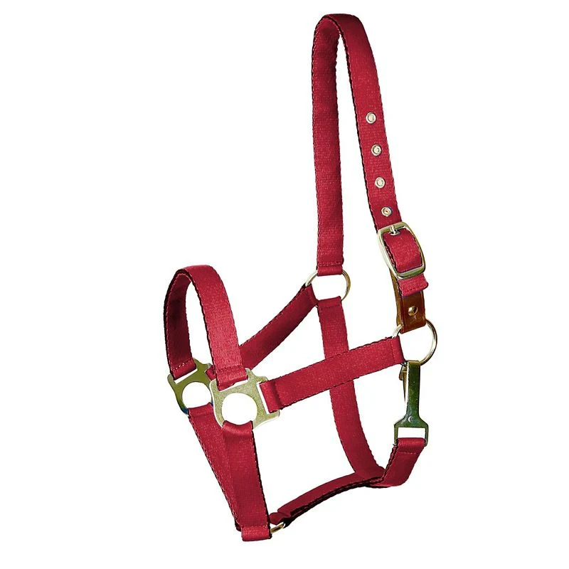 18-gatsby-nylon-safety-breakaway-halter-7.webp Gatsby Nylon Safety Breakaway Halter