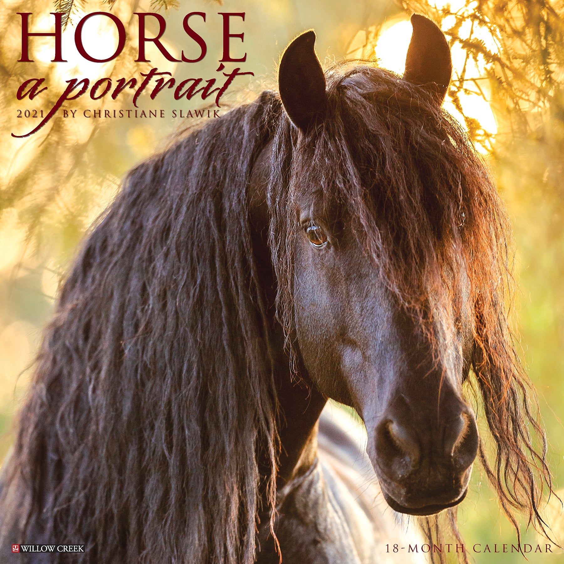 18115-2021-horse-a-portrait-18-month-calendar-1.jpg 2021 Horse A Portrait 18 Month Calendar