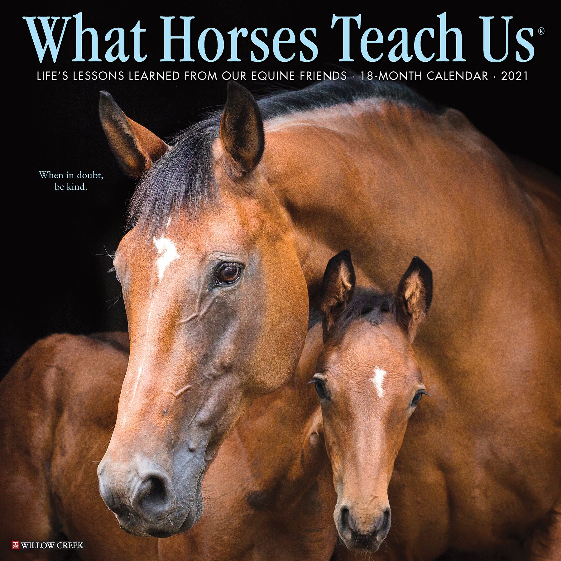 18117-2021-what-horses-teach-us-18-month-calendar-1.jpg 2021 What Horses Teach Us 18 Month Calendar