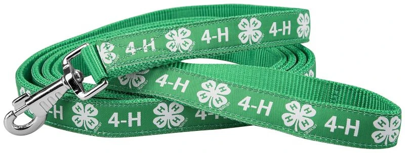 18373-4-h-nylon-lead-with-snap-1.webp 4-H Nylon Lead with Snap