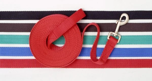 18404-6-pack-nylon-web-lunge-line-1.webp 6 Pack Nylon Web Lunge Line
