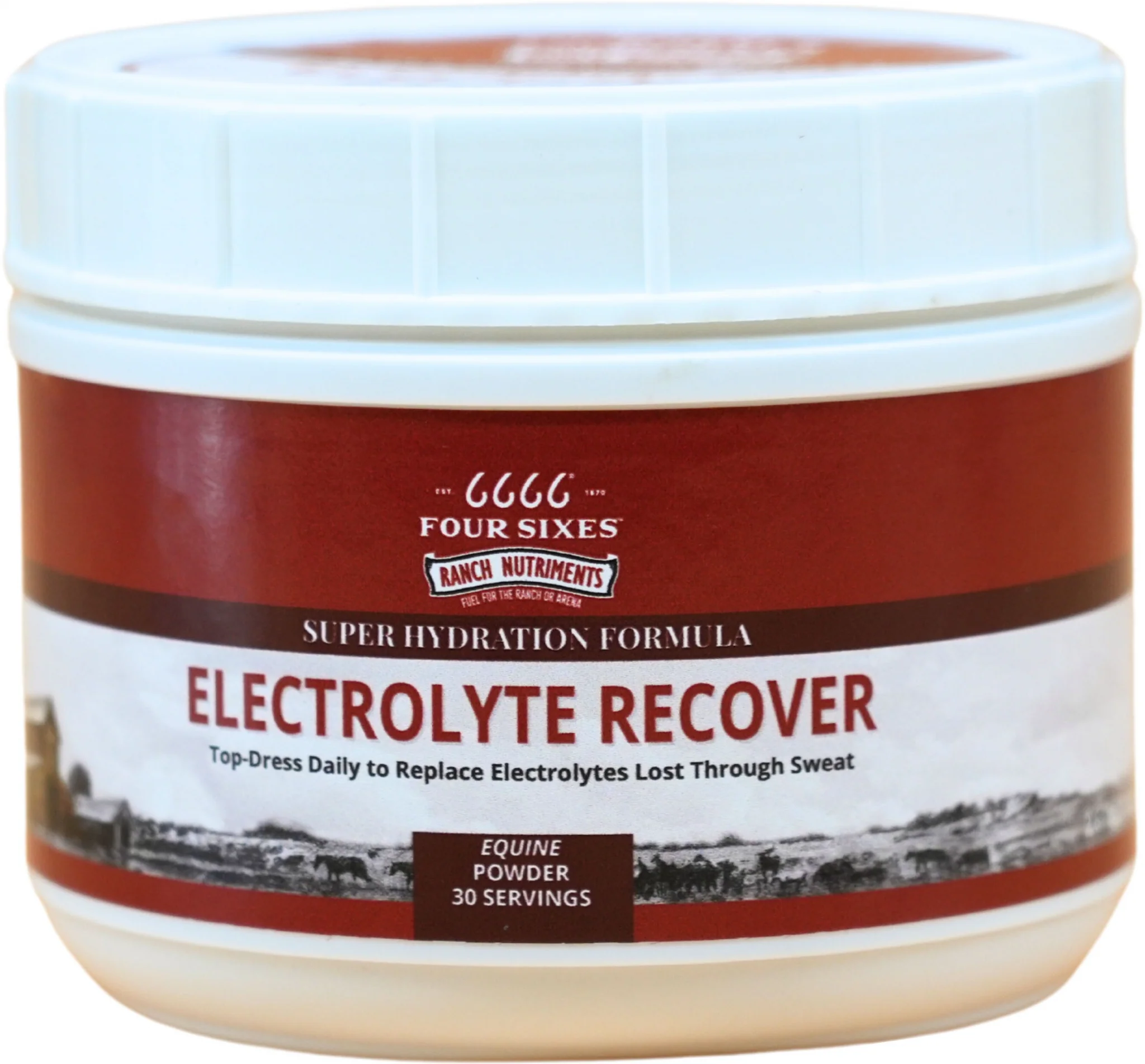 6666 Electrolyte Recover Powder