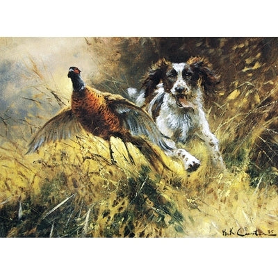 18549-a-near-miss-english-springer-blank-greeting-cards-6-pack-1.jpg A Near Miss (English Springer) Blank Greeting Cards - 6 Pack