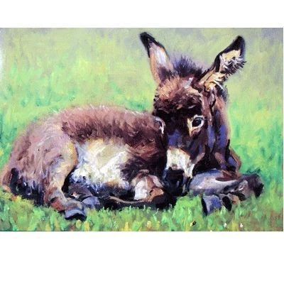 18553-a-quiet-nap-donkey-cards-6pk-5x7-1.webp A Quiet Nap Donkey Cards - 6Pk 5x7