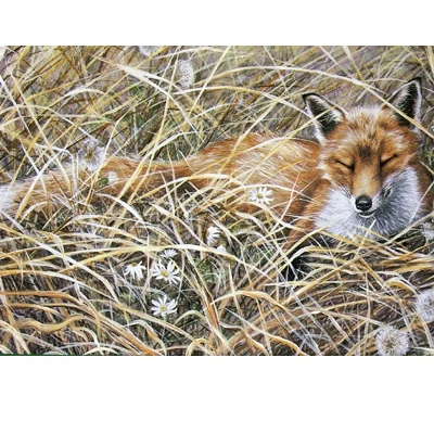18554-a-quiet-snooze-fox-blank-greeting-cards-6-pack-1.webp A Quiet Snooze (Fox) Blank Greeting Cards - 6 Pack