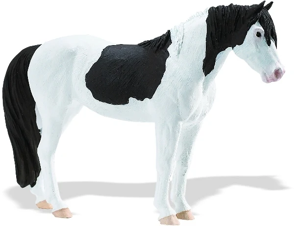 Abaco Barb Mare