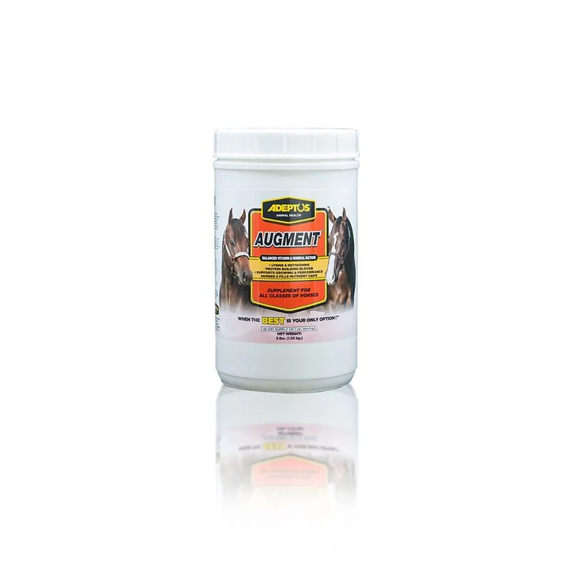 18811-adeptus-augment-vitamin-mineral-balancer-1.webp Adeptus Augment Vitamin Mineral Balancer