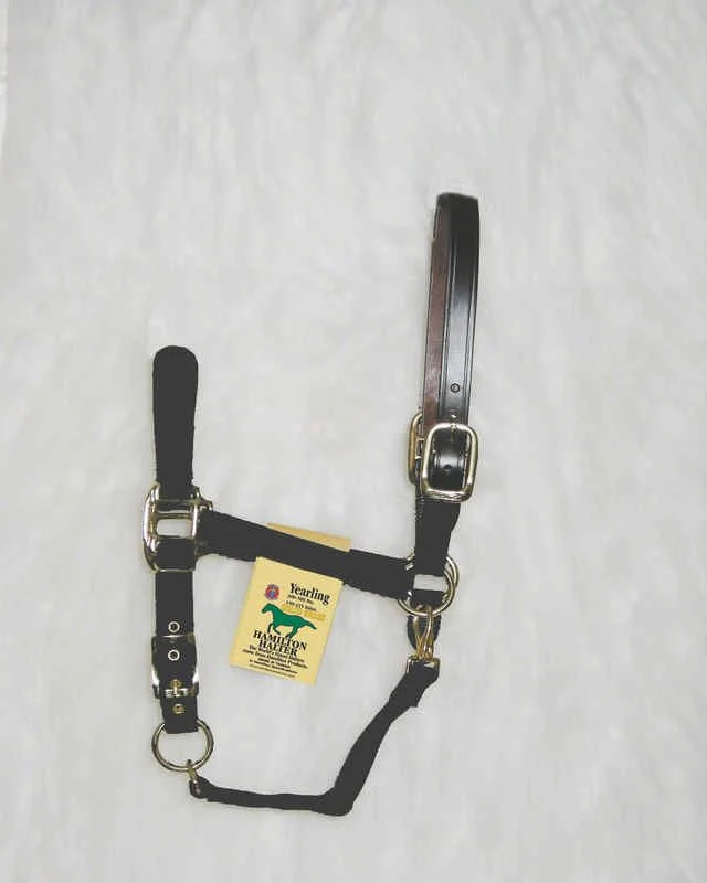 Adjustable Halter with Leather Crown Yearling Blk