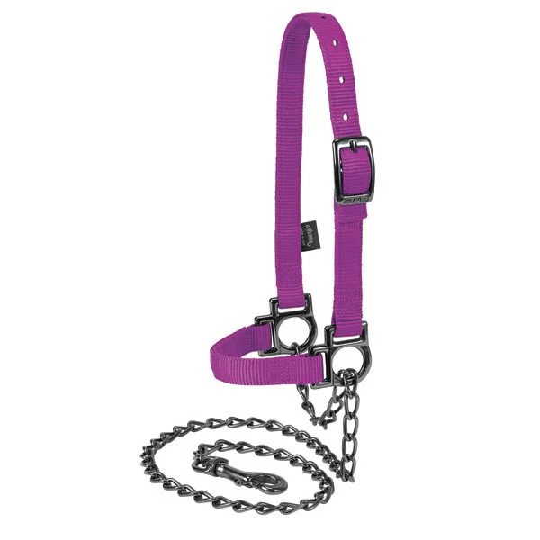 Adjustable Sheep Halter Graphite Hardware