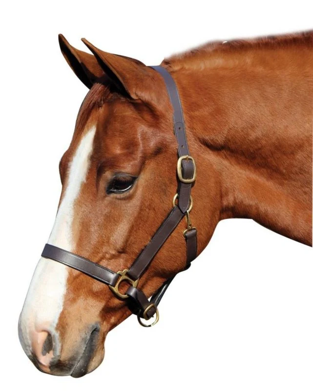18971-advantage-leather-halter-comfort-padding-cob-brn-1.webp Advantage Leather Halter/Comfort Padding Cob Brn