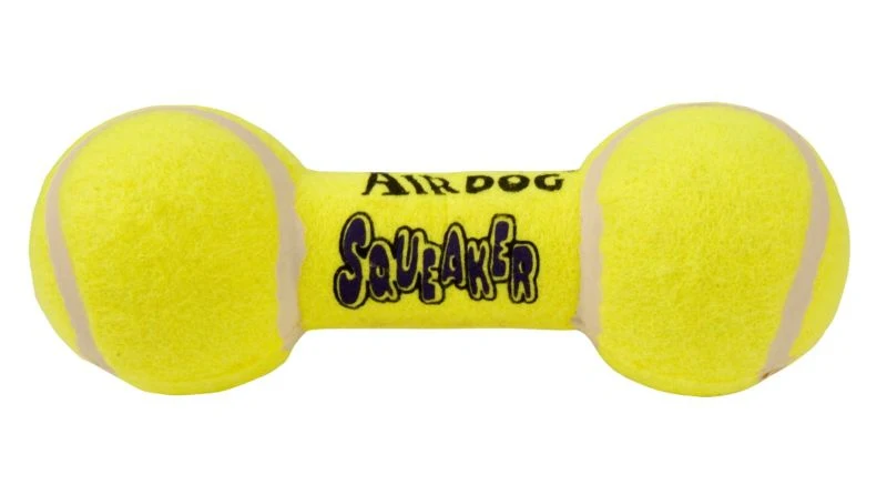Air KONG Squeaker Dumbbell Dog Toy